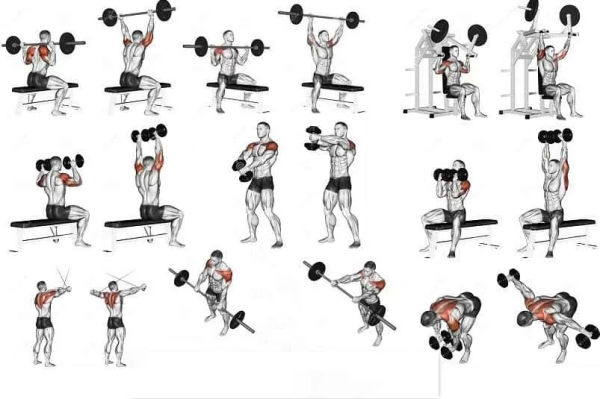 Shoulder Gym Workout Plan